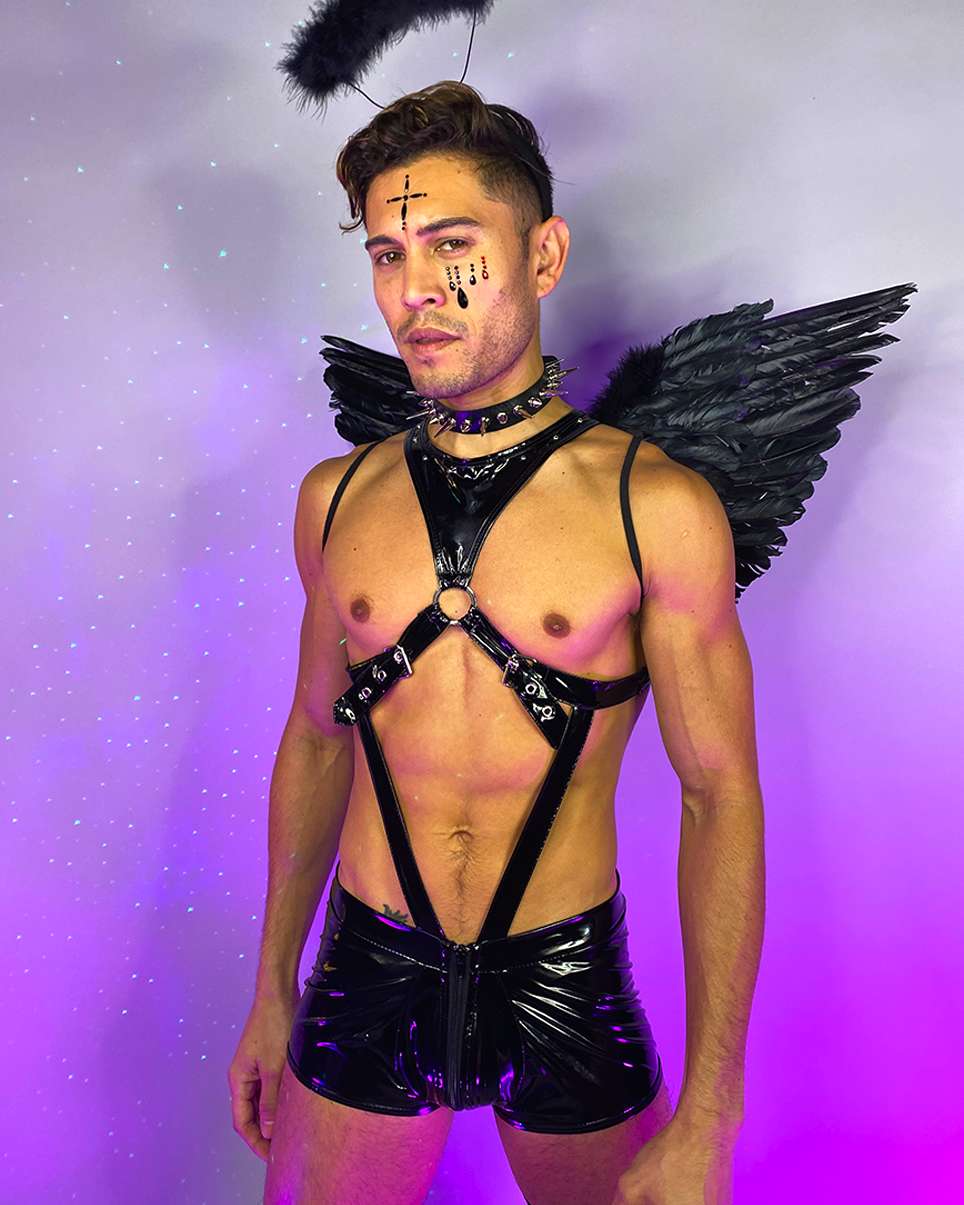 Dark Angel Men's Costume
